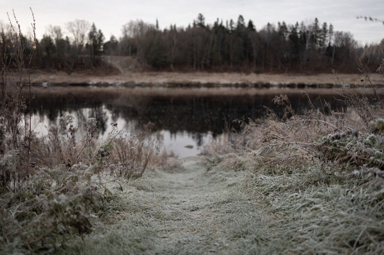 A natural landscape with a body of water, overcast sky, and sparse vegetation.