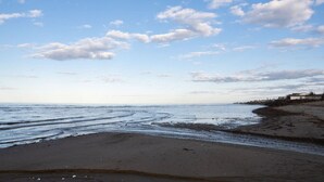 Nära stranden