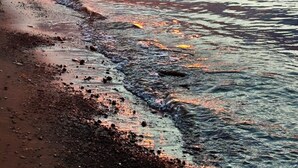Un coucher de soleil sur une mer calme, avec une plage au premier plan.