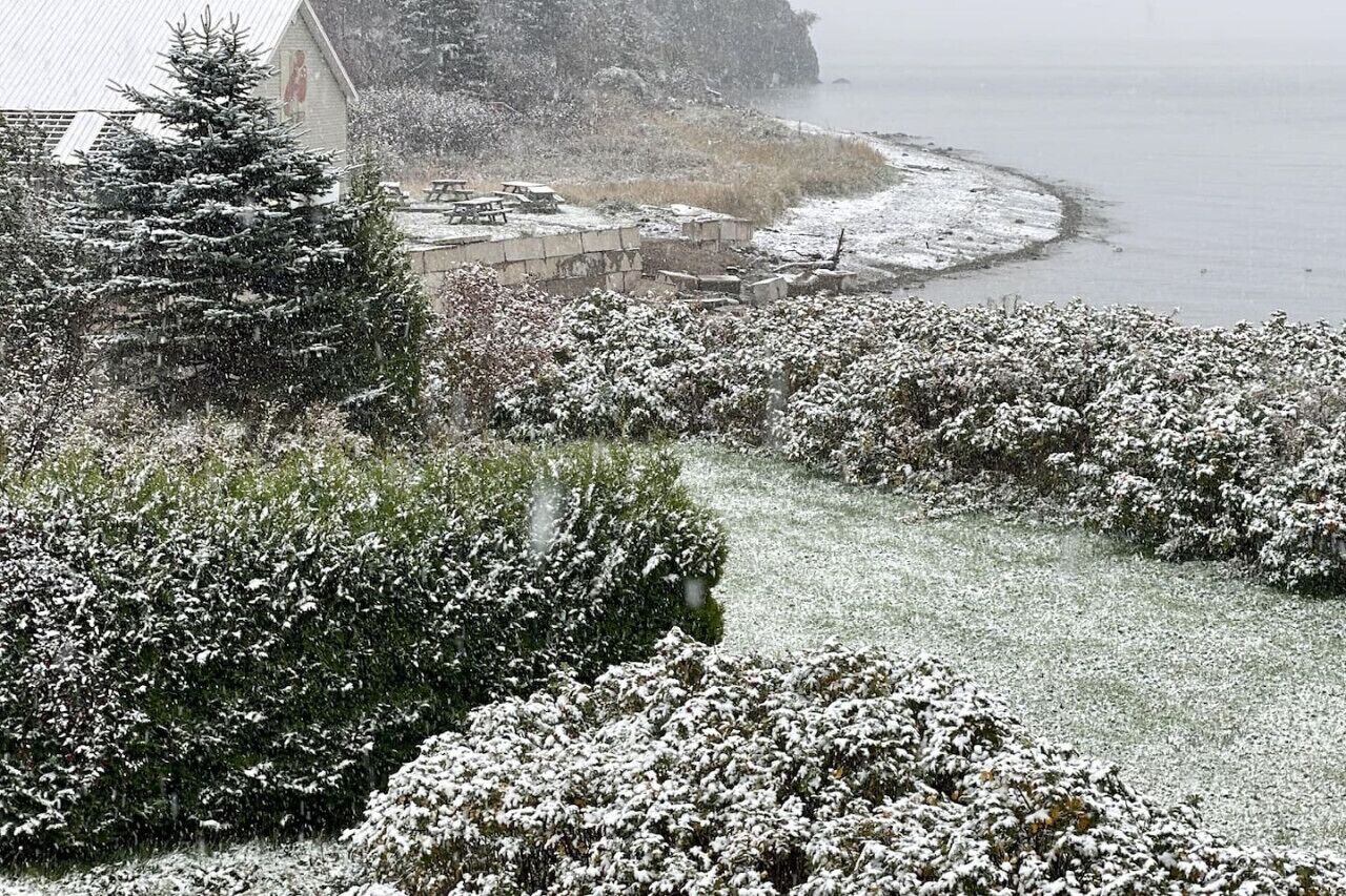 A coastal property with snow-covered vegetation, a stone wall, and a view of the sea.