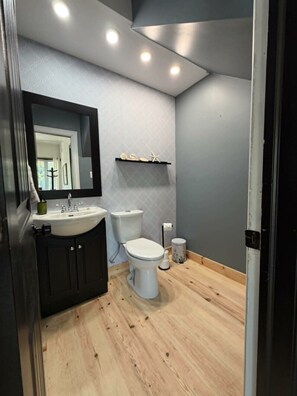 Eco-friendly toiletries, hair dryer - 2 bedroom home, Sleeps 6 (Alma)