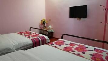 Habitación con dos camas, un televisor de pantalla plana en la pared y una pequeña mesa con un jarrón de flores.
