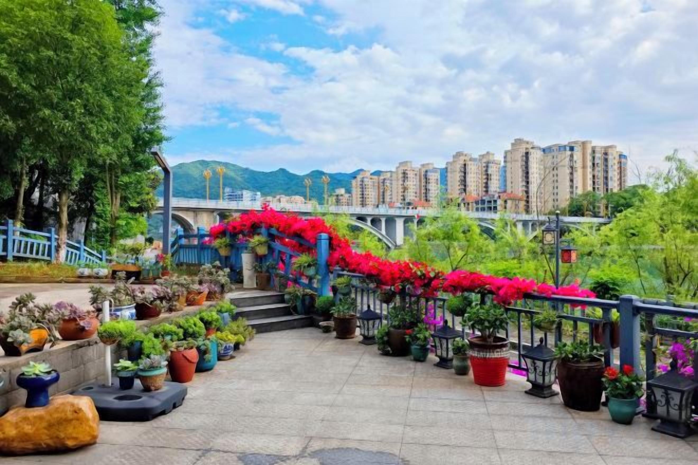 A rooftop garden with potted plants and a view of a bridge and buildings.