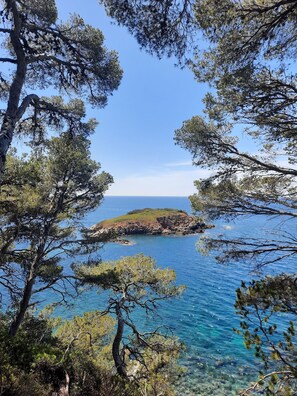 Miscellaneous - Maison de Vacances, Dans un Écrin de Verdure, Près de la mer (La Garde)
