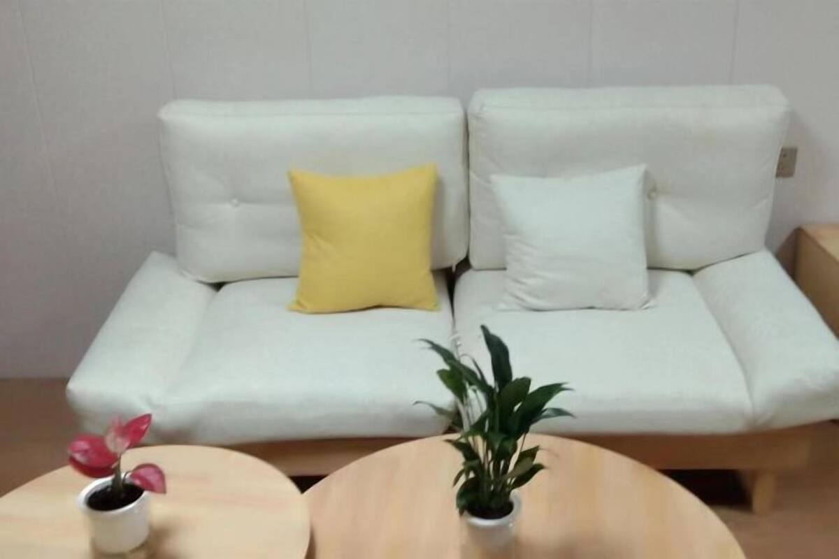 Un sofà blanc amb dos coixins, un groc i un blanc, i dues taules rodones de fusta amb plantes en testos.
