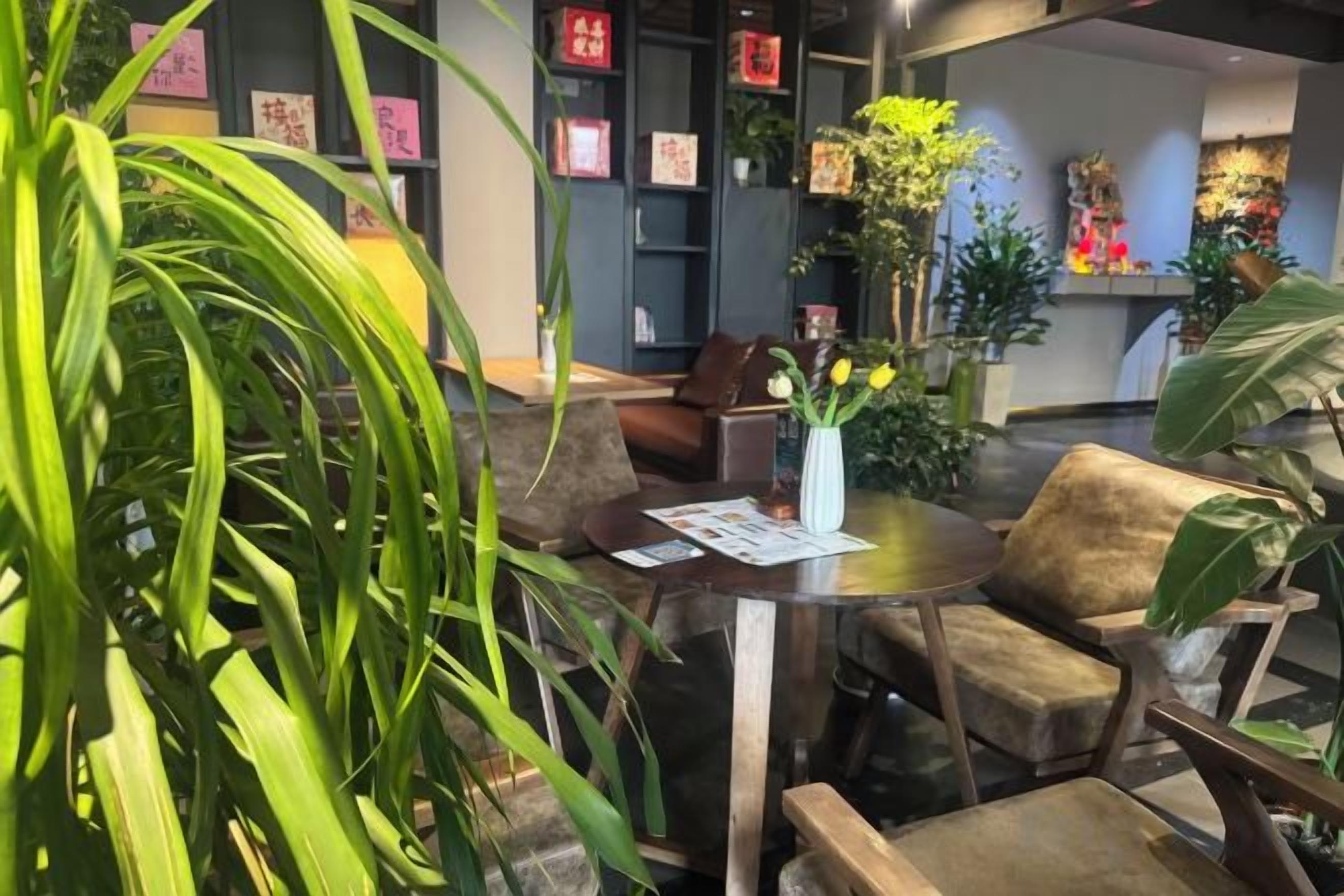 A cozy indoor seating area with a round table, chairs, and potted plants.