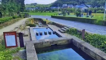Una fuente de agua con una pequeña piscina y escalones que bajan hacia ella, rodeada de follaje y un sendero.