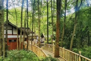 A wooden bridge leading to traditional-style buildings surrounded by a forest.