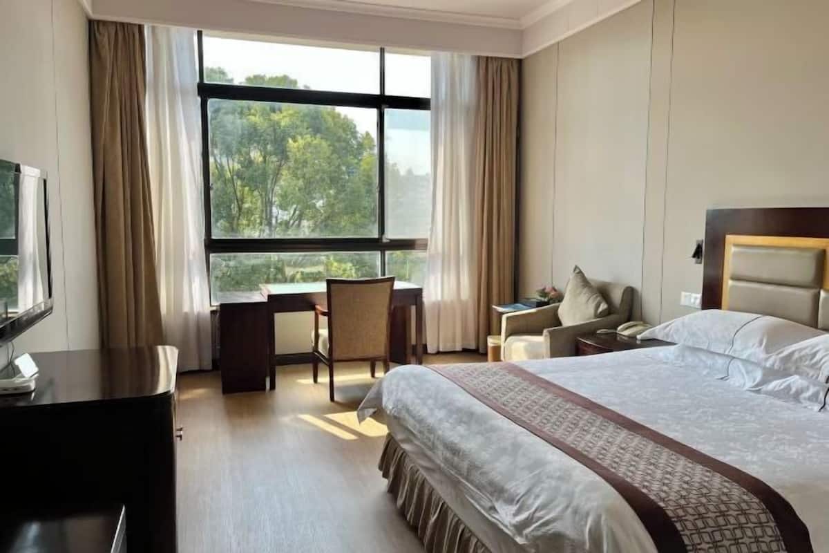 Une chambre d’hôtel avec un grand lit, un bureau, une chaise et une vue sur les arbres par la fenêtre.