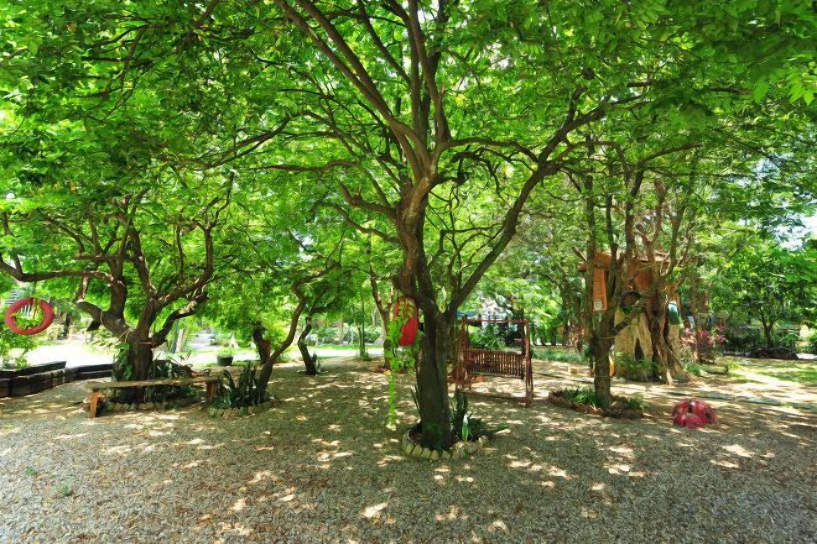 A park with trees, a bench, and a playground.