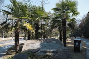 Terrein van de accommodatie