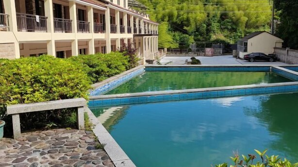 A hotel with a swimming pool, stone pathway, and lush greenery.