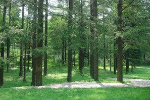 Property grounds