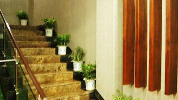 A staircase with potted plants, a wooden handrail, and a wall with vertical blinds.