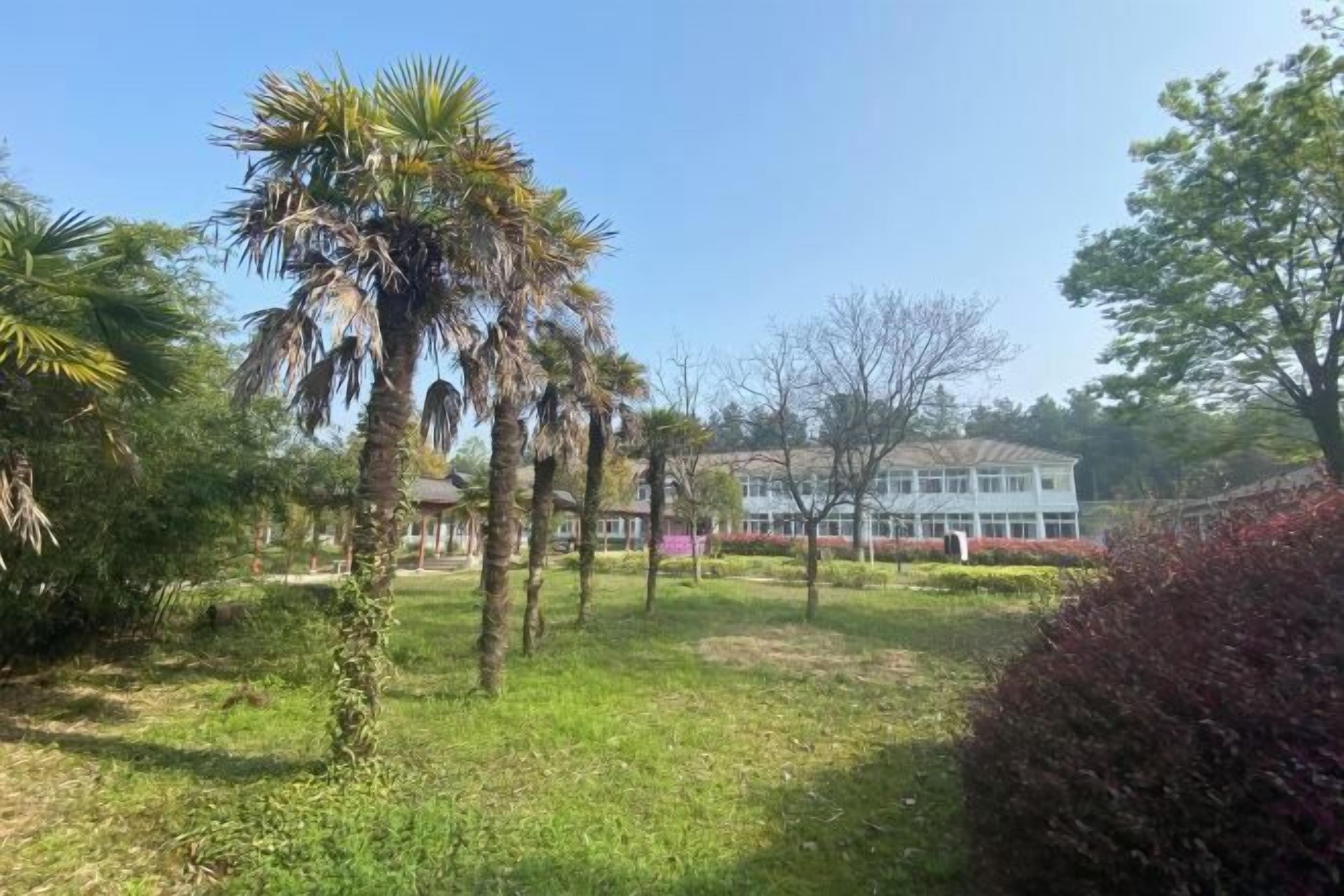 A landscaped garden with palm trees, a building with a white facade, and a clear blue sky.