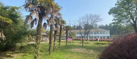 A landscaped garden with palm trees, a building with a white facade, and a clear blue sky.