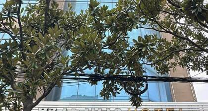 Juxin Yuetu Selected Business Hotel