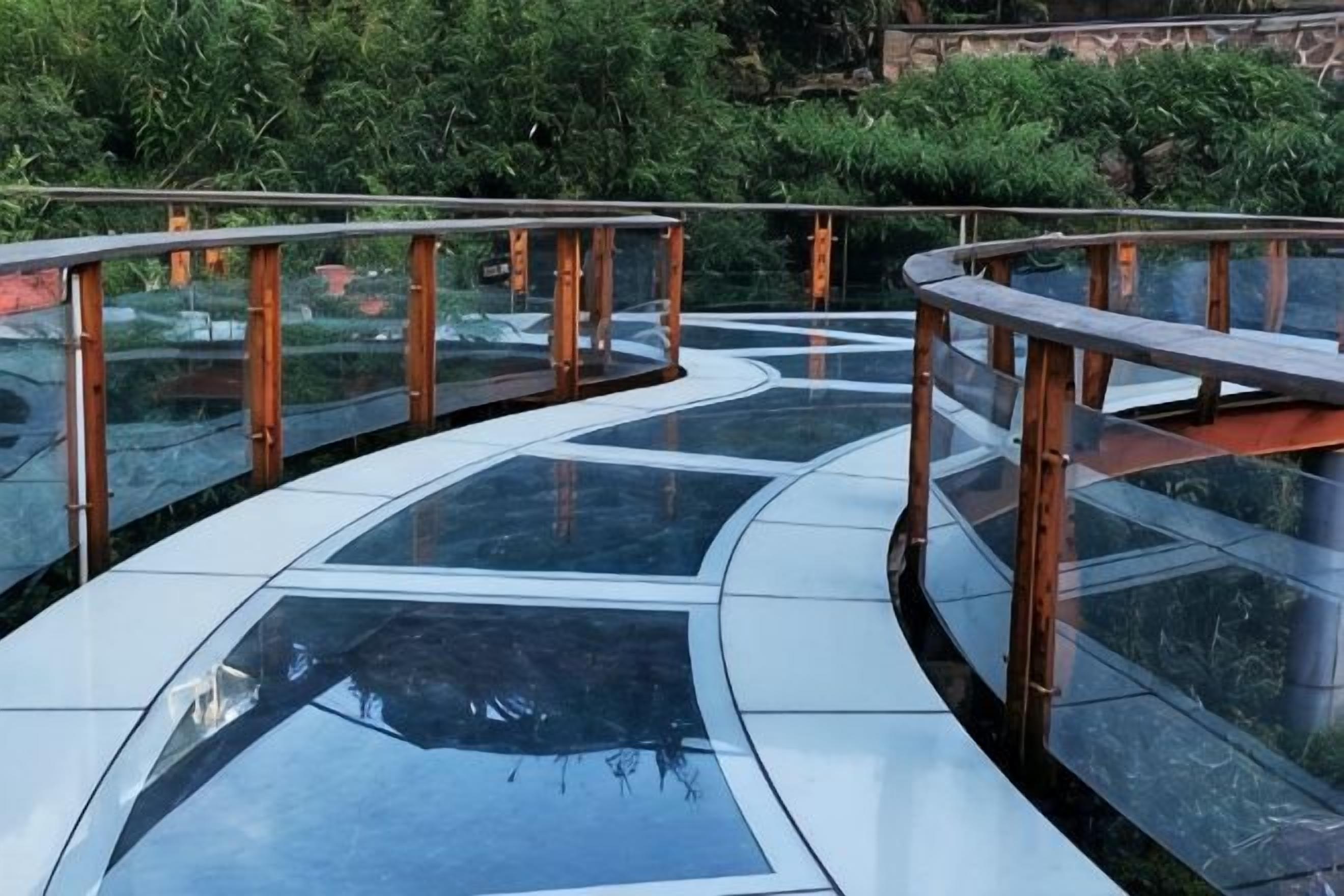 A curved glass walkway with metal railings, surrounded by greenery.