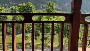 Eine Holzterrasse mit Metallgeländer, die auf eine grüne Landschaft mit Bäumen und einem Gewässer blickt.
