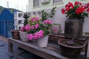 A wooden bench with potted plants.