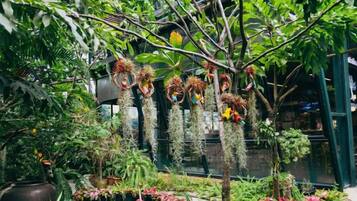 Un jardin intérieur agrémenté de plantes suspendues et d’un élément décoratif aquatique.
