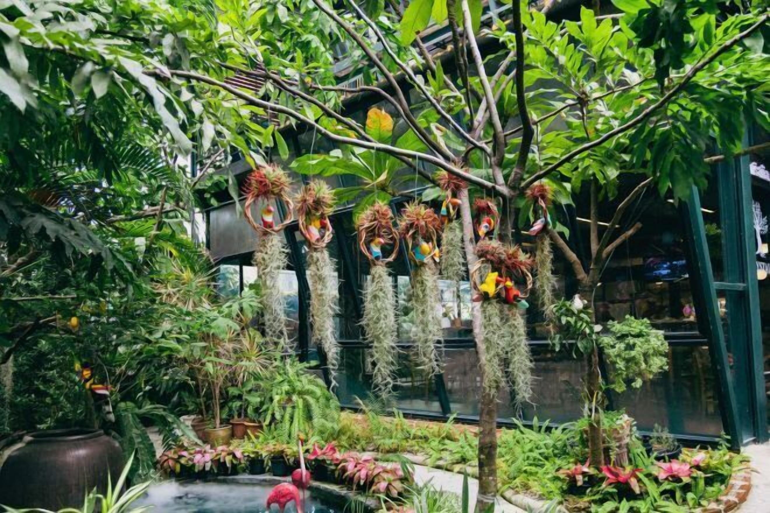 Un jardí interior exuberant amb plantes diverses i decoracions penjants.