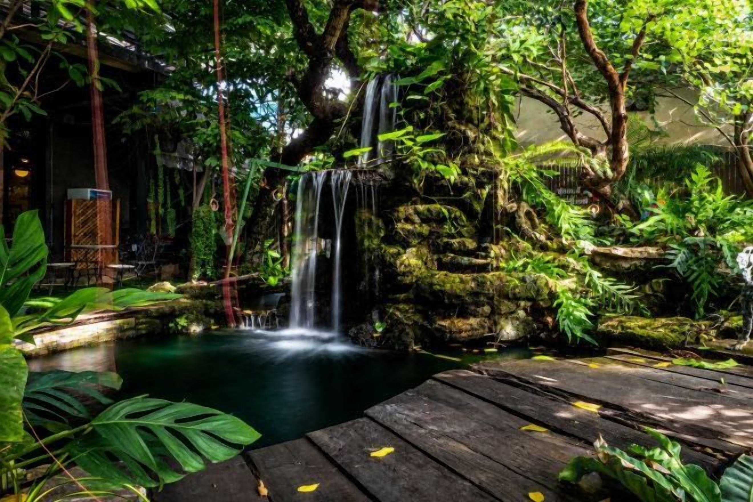 Uma fonte natural com um deck de madeira em um ambiente verde e exuberante.