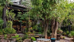 A lush garden with a wooden deck, a small water feature, and various plants and trees. - Crystal Resort (Nakhon Ratchasima)