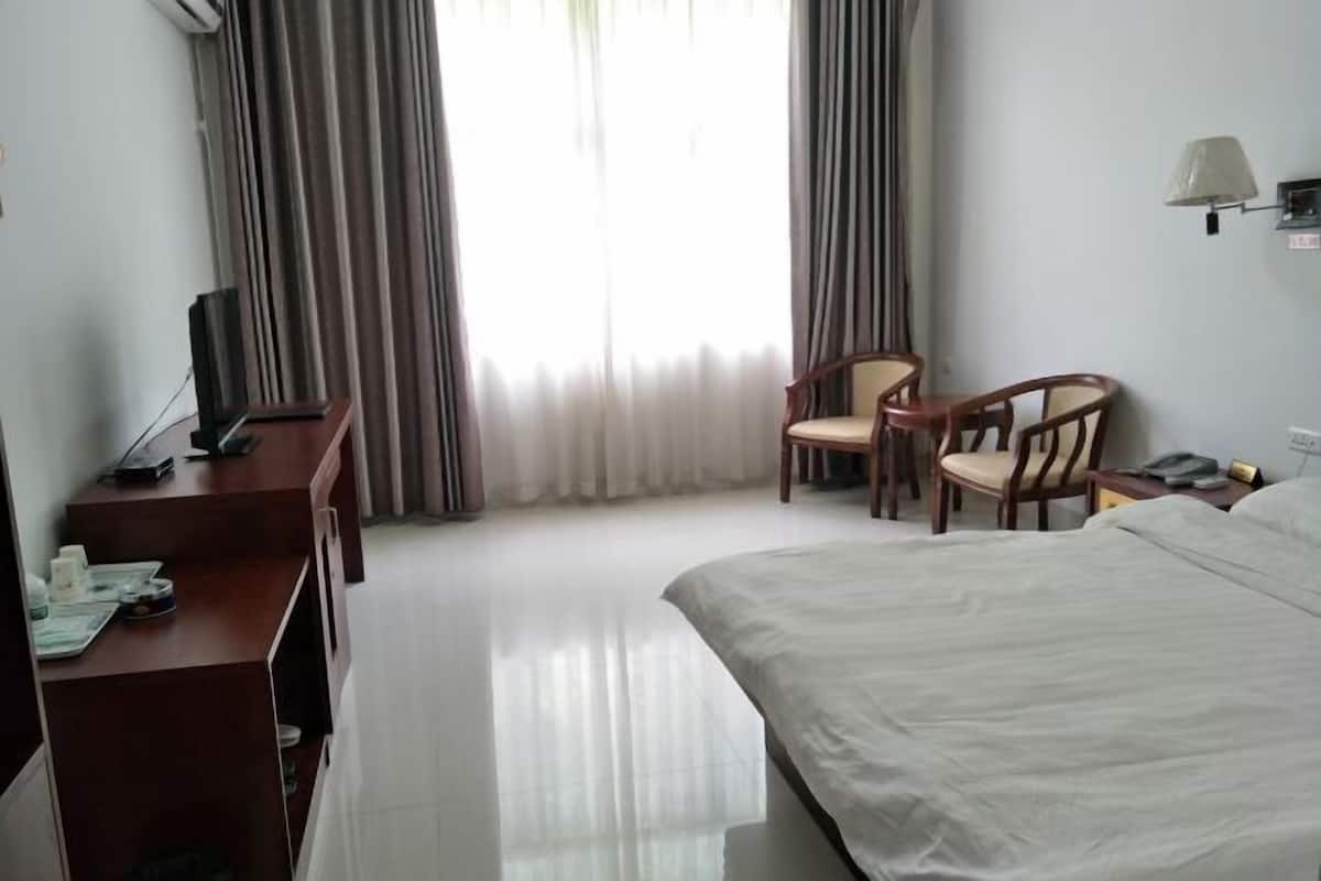 A hotel room with a bed, two wooden chairs, a desk with a lamp, and a television.