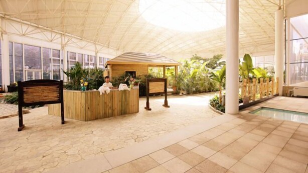 Amplio espacio interior con una recepción, una piscina y diversas plantas.