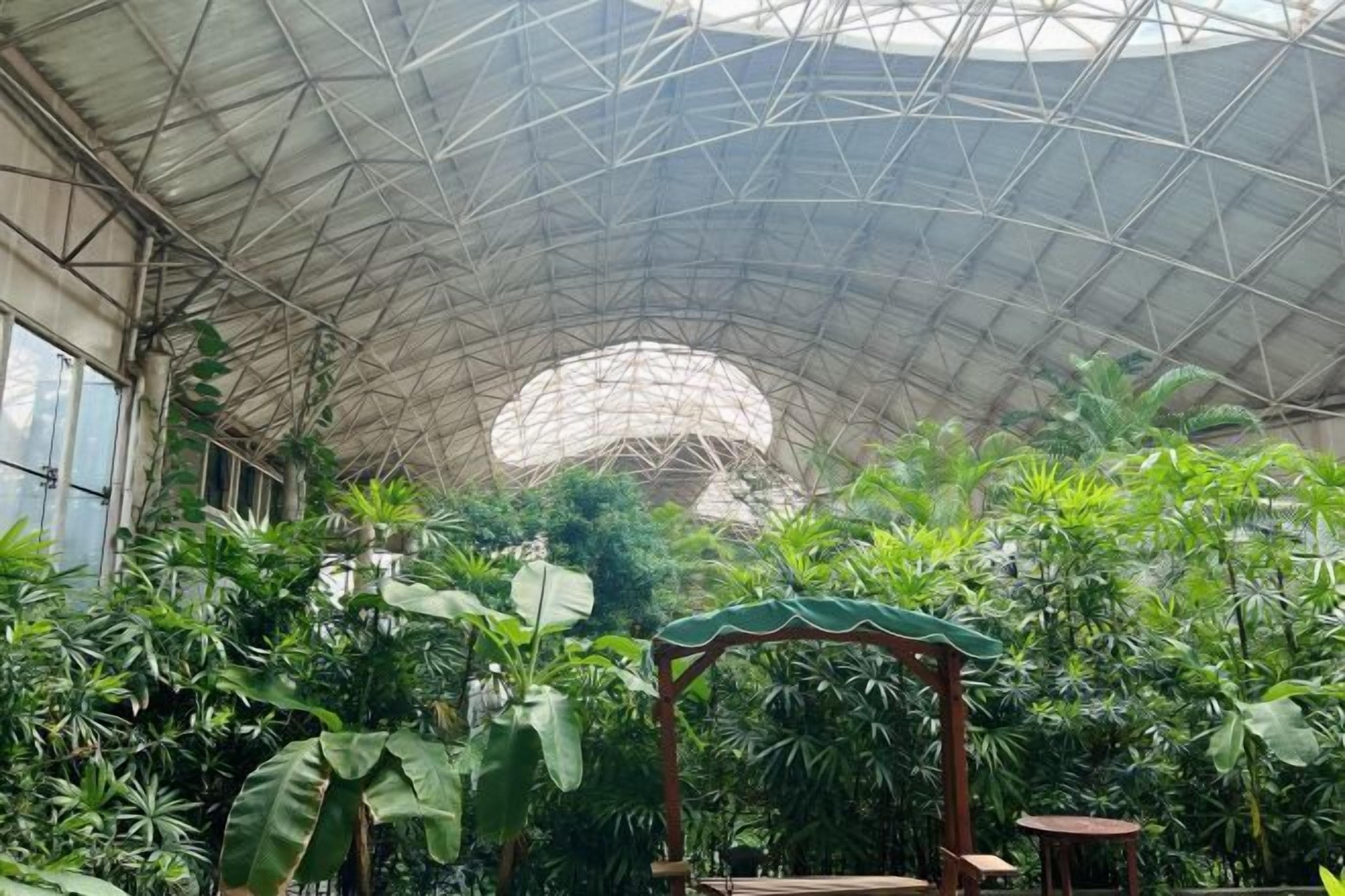 A greenhouse with a geodesic dome roof, lush tropical plants, and a wooden gazebo.