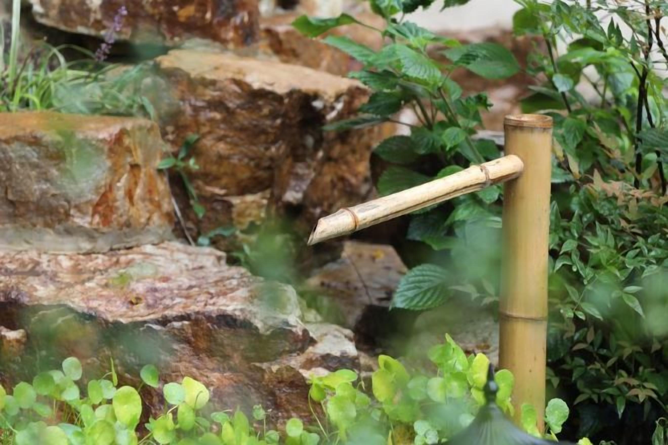 A rock garden with a bamboo structure.