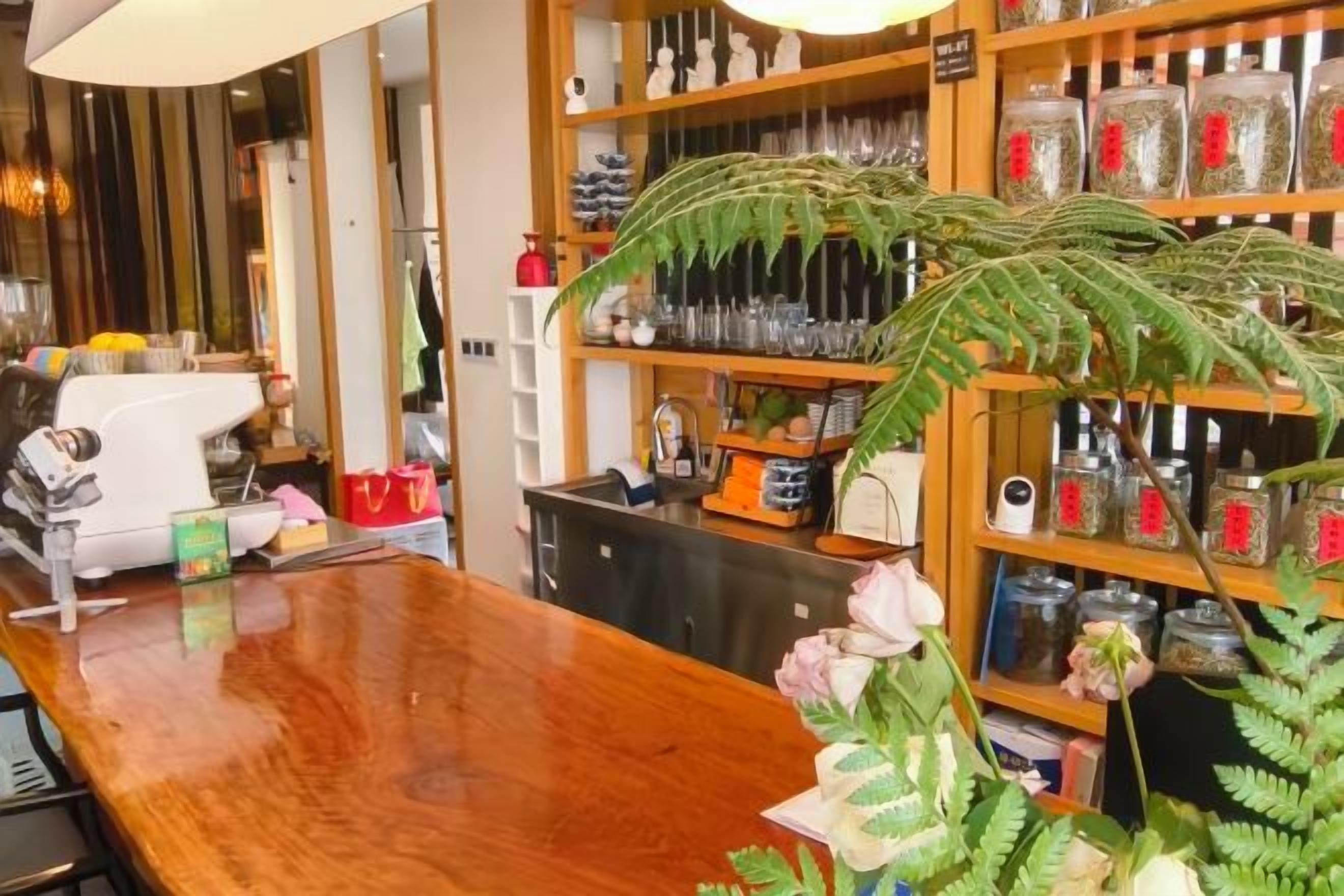 Una zona de bar con mostrador de madera, estantes con copas y una planta de helecho.