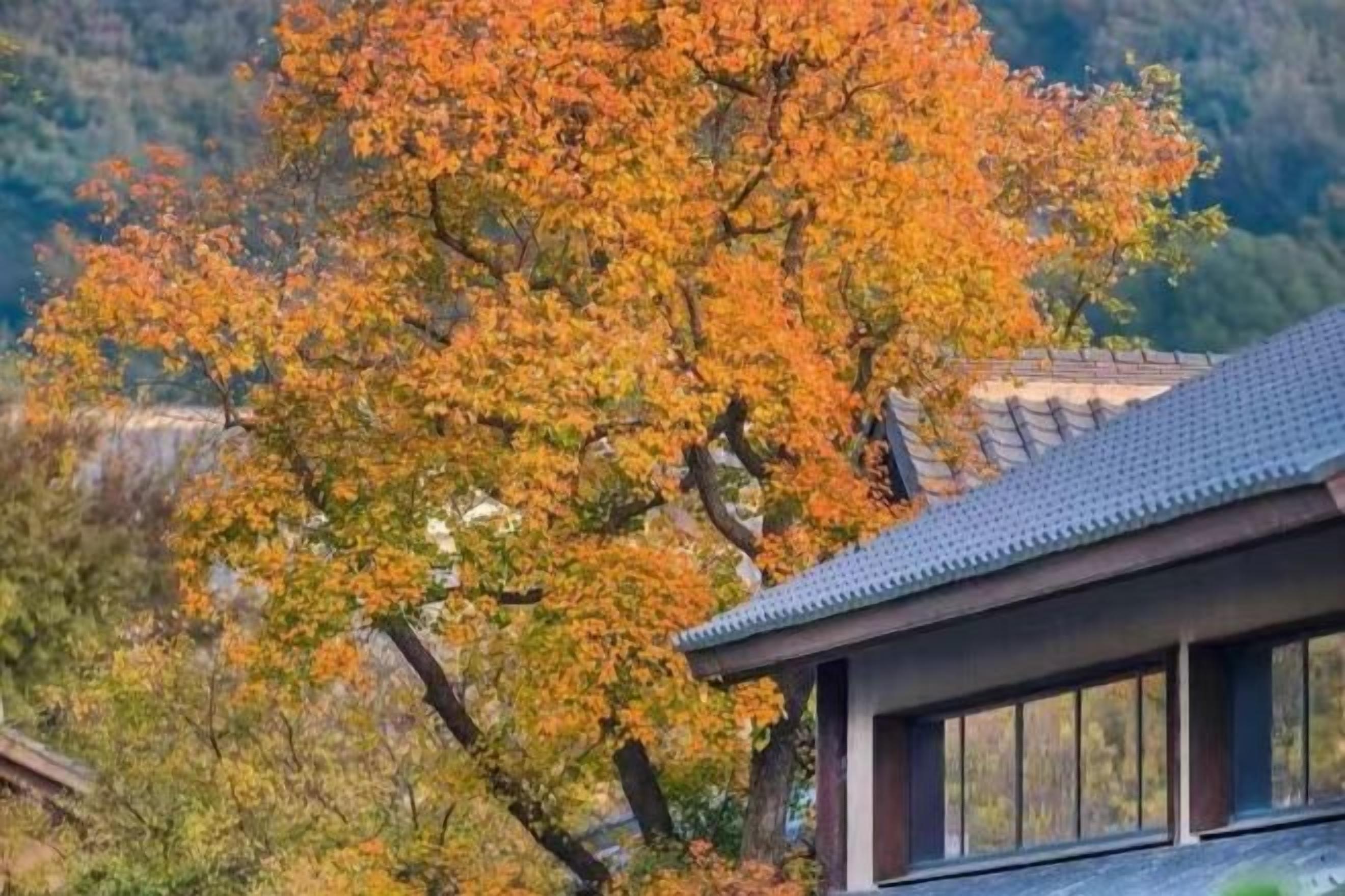 A traditional building with a tiled roof, surrounded by trees with autumn foliage.