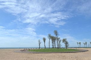 Una playa con un área verde circular y árboles.