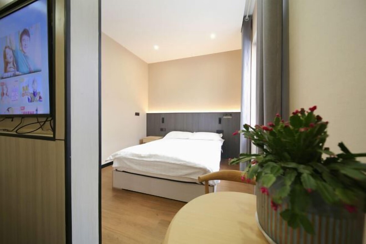A hotel room with a bed, a TV, a potted plant, and a chair.