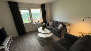 A living room with a grey sofa, a white coffee table, a TV on a stand, and a window with curtains.