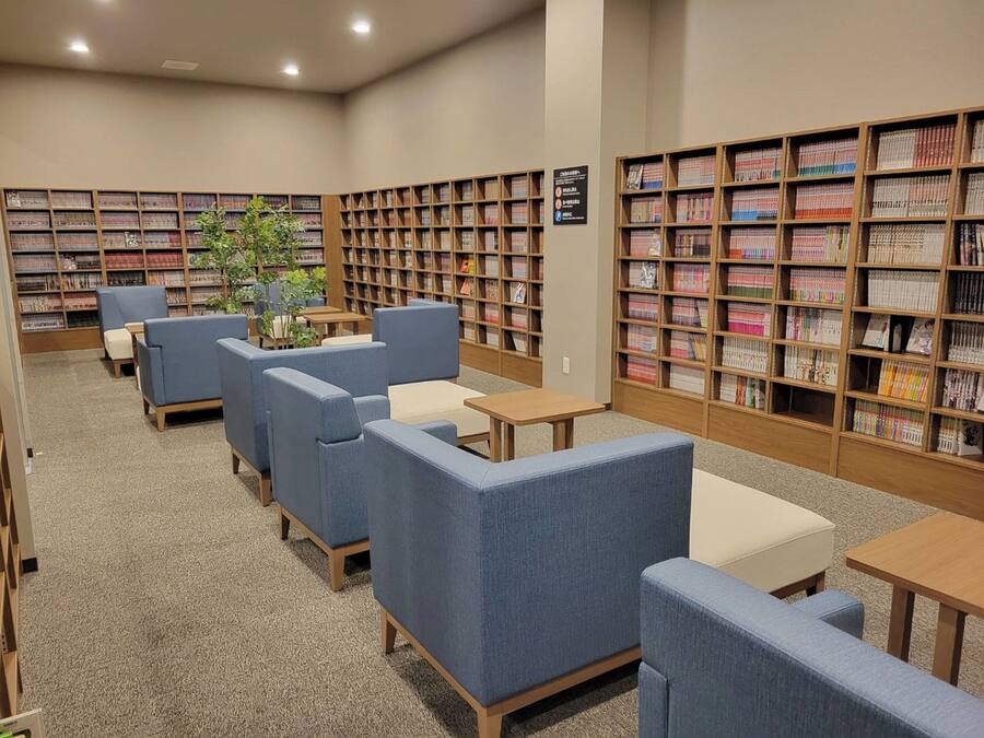 Una biblioteca con estanterías, zonas de lectura y una planta pequeña.