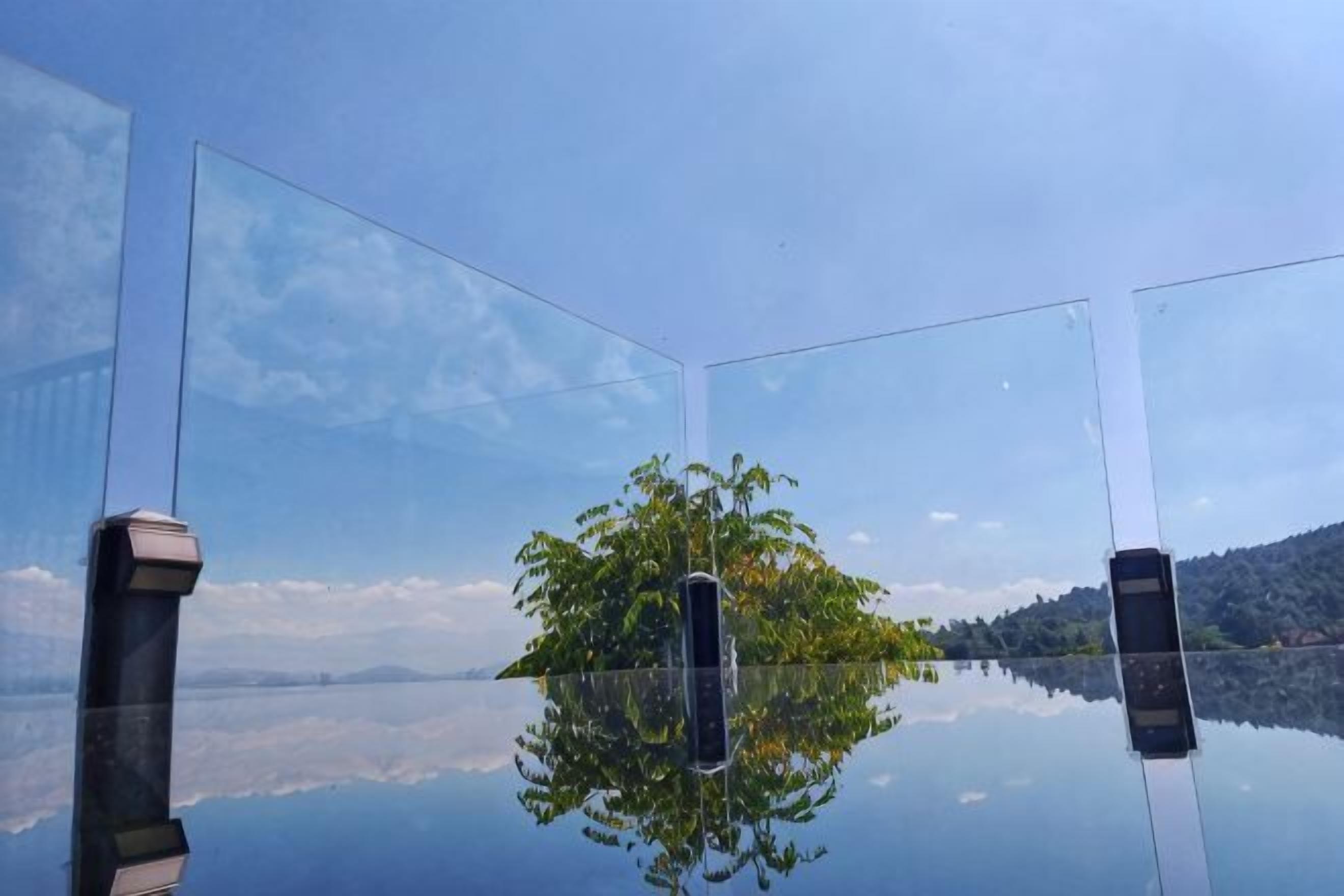 Reflejo nítido de un árbol y una cadena montañosa en aguas tranquilas, visto a través de una barrera transparente.