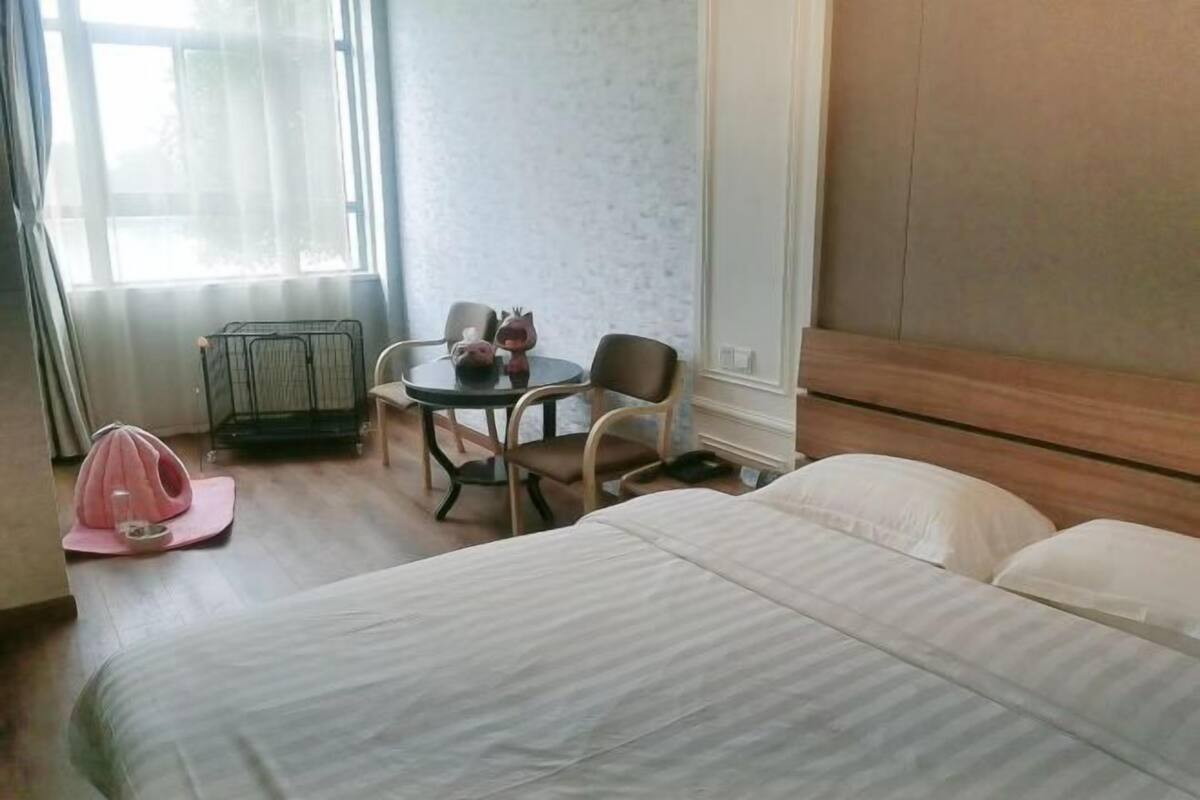 Ein Hotelzimmer mit Bett, einem kleinen runden Tisch mit Stühlen, einer Schlafgelegenheit für Haustiere und einem Fenster mit Vorhängen.