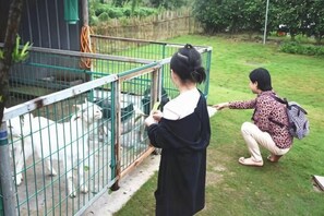 A person interacting with animals behind a metal fence. - Mingzhu Lake Swan Garden Resort (Shanghai)