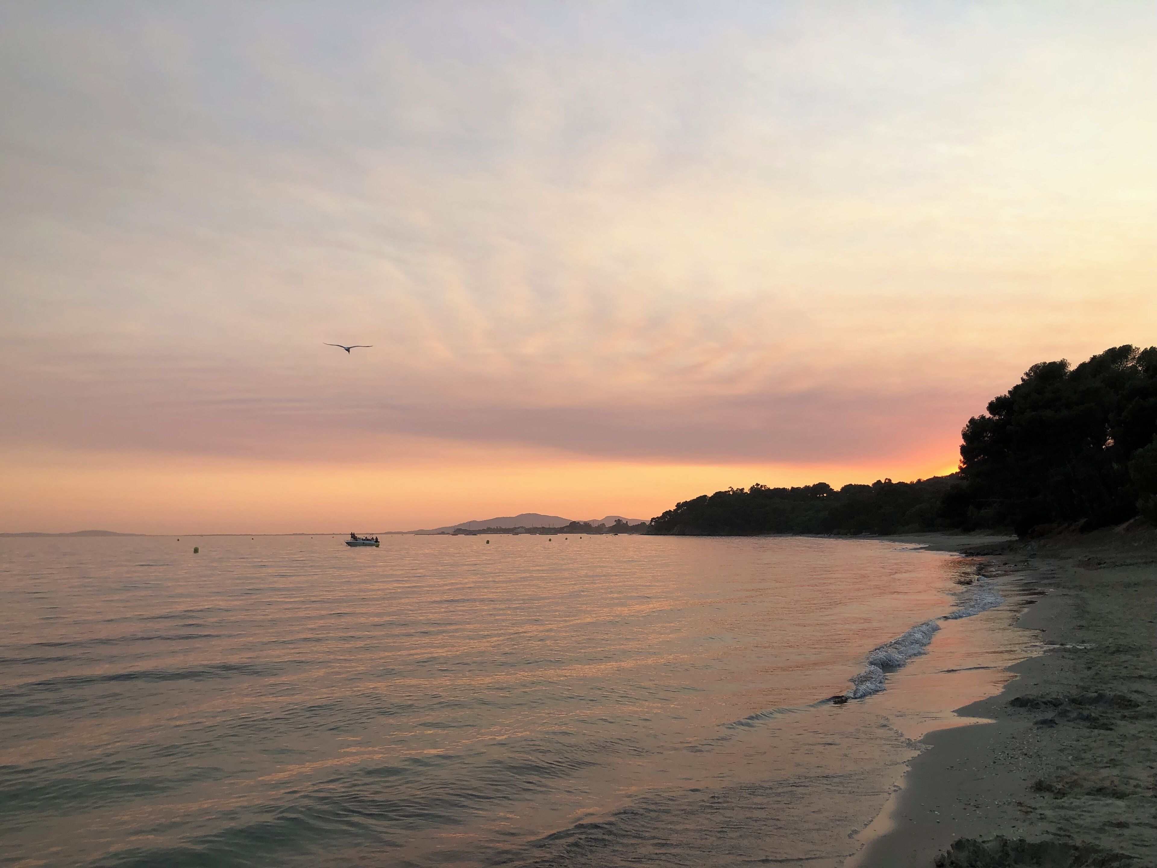 En strand med roligt vand, en båd og en solnedgang.