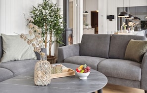 TV connectée, cheminée, table de tennis de table