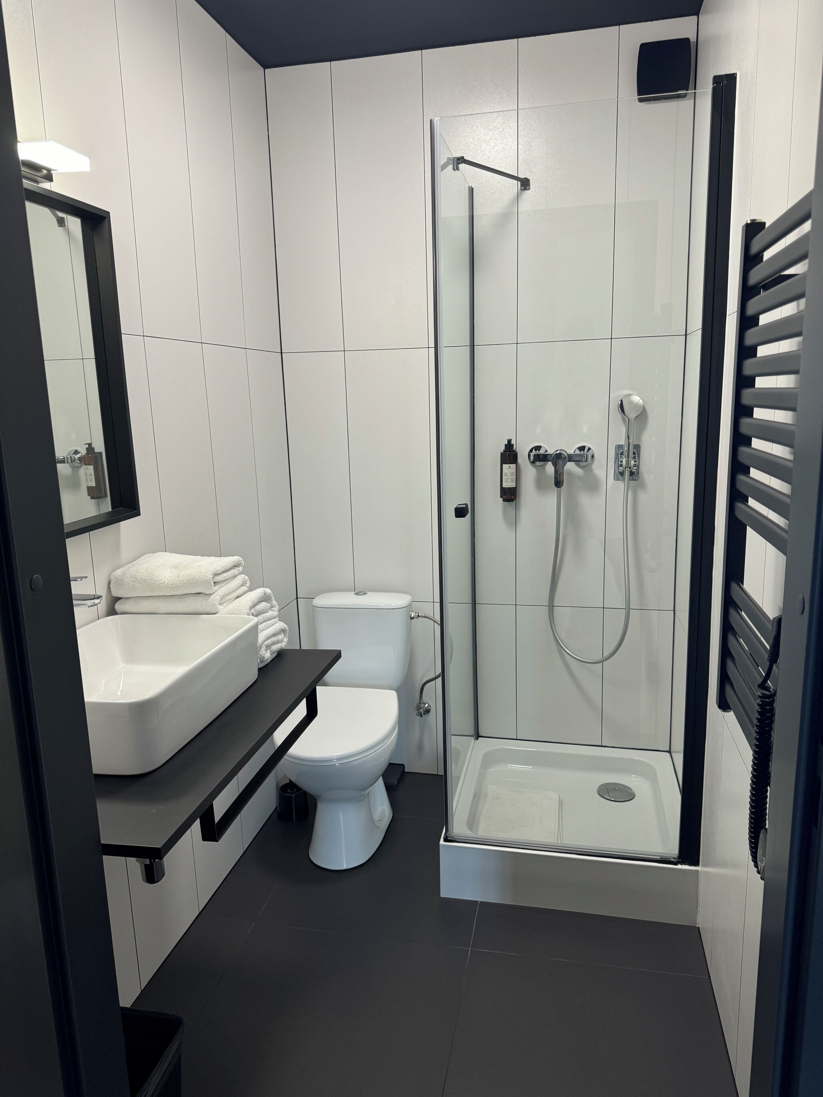 A modern bathroom with a glass-enclosed shower, a white toilet, and a black sink.