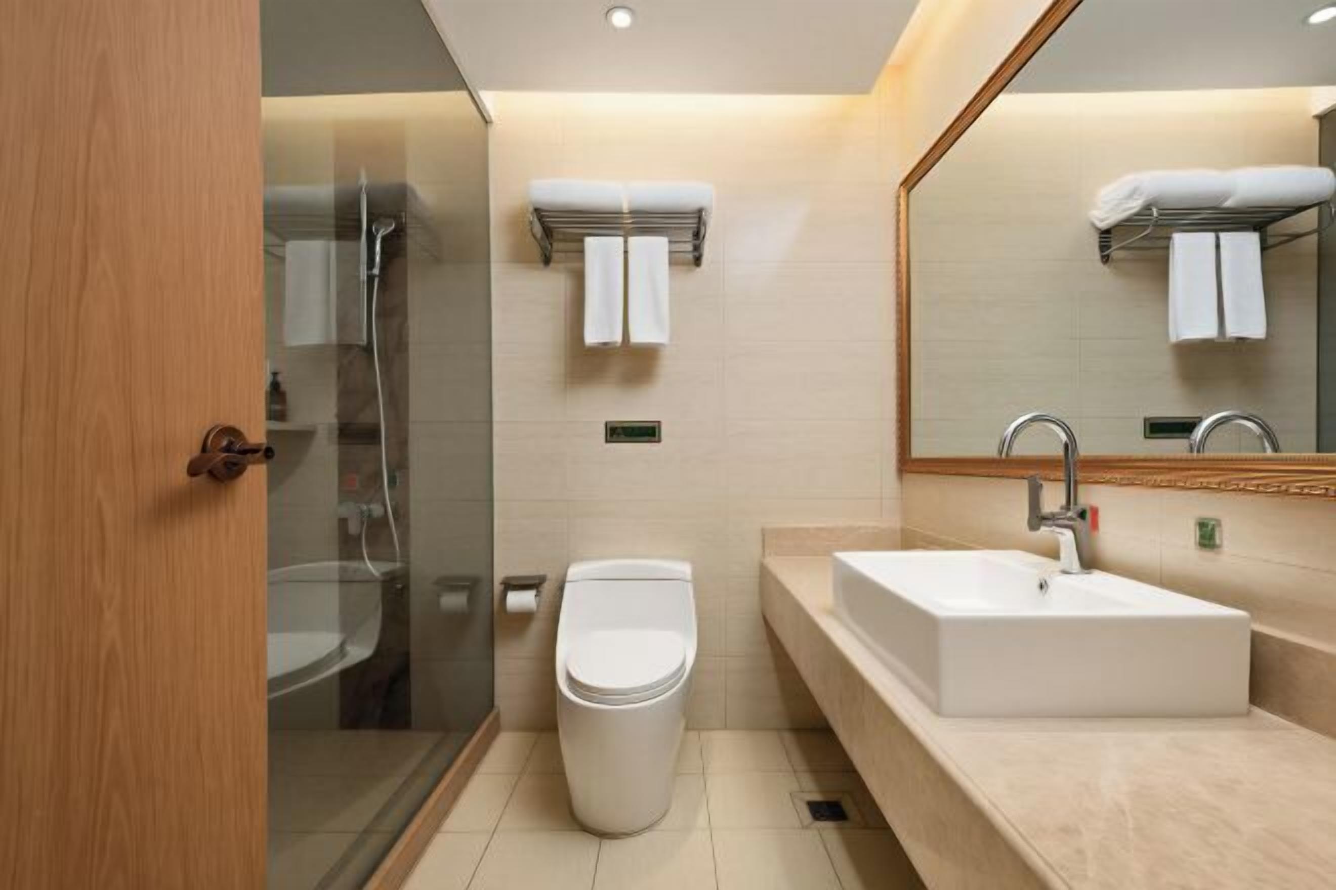 A modern bathroom with a glass shower enclosure, a toilet, a sink, and a mirror.