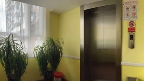 Ein Aufzug in einem Raum mit gelben Wänden, zwei Topfpflanzen und einem Fenster mit durchscheinenden Vorhängen.