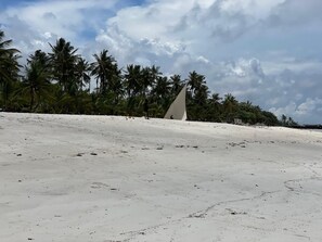 Plage, chaises longues