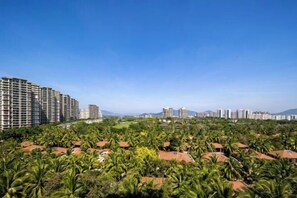 Zona residencial con edificios altos y un grupo denso de palmeras.