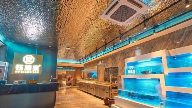 A hotel lobby with a reception desk, a fish tank display, and a ceiling with a textured pattern. - Mango City Inn (Moon Lake Park North Metro · Window of the World Mango Pavilion) (Changsha)