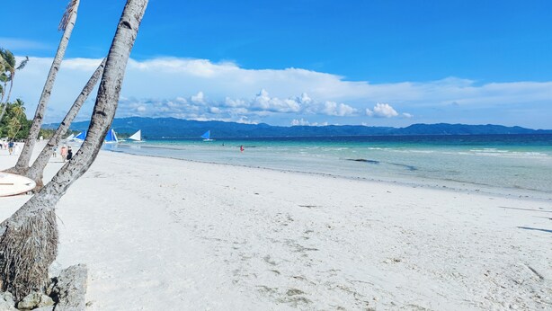 Una playa de arena blanca, palmeras y cielo azul despejado.